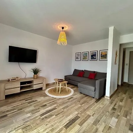 Type 4 Apartment Planes